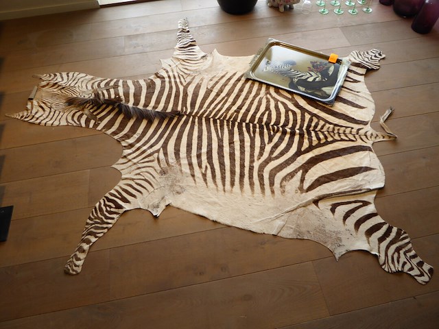 Ijzeren plaat+tapijt - afbeelding 2 van  3