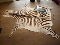 Ijzeren plaat+tapijt - afbeelding 2 van  3