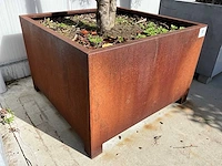 Ilex boom met cortenstaal pot - afbeelding 6 van  7