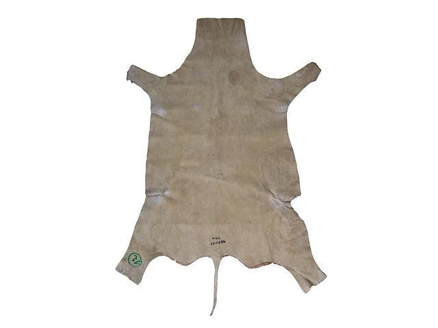 Impala or rooibok (aepyceros melampus) hide rug, 130 x 90 cm - afbeelding 2 van  3
