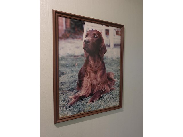 Inboedel appartement - afbeelding 15 van  39