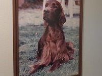 Inboedel appartement - afbeelding 15 van  39