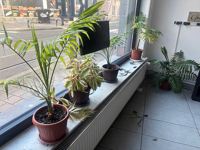 Inboedel kapsalon a&n wegens faillissement - afbeelding 16 van  19