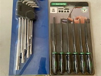 Inbussleutelset tirx 9 dlg + 7 dlg mine vijlenset 95mm - afbeelding 1 van  3