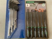 Inbussleutelset tirx 9 dlg + 7 dlg mine vijlenset 95mm - afbeelding 2 van  3
