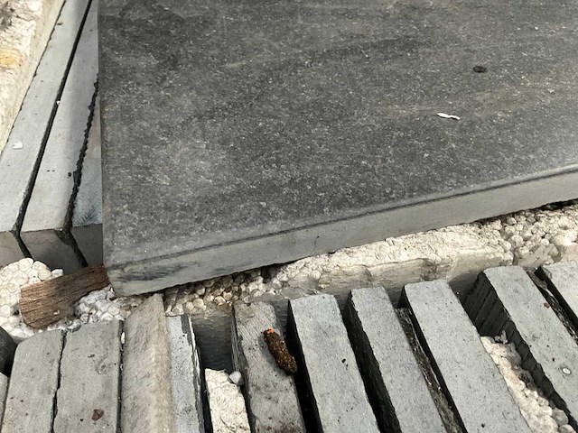 Indisch zwart verzoet natuursteen tuintegel - afbeelding 1 van  2