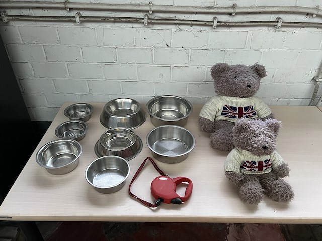 Indoedel - afbeelding 25 van  44