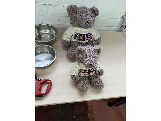 Indoedel - afbeelding 28 van  44