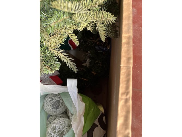 Indoedel - afbeelding 29 van  56