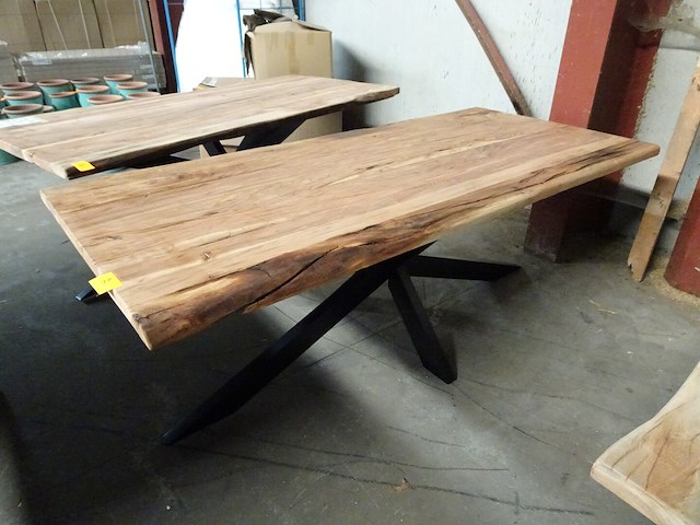 Indoor boomstamtafel - afbeelding 1 van  4