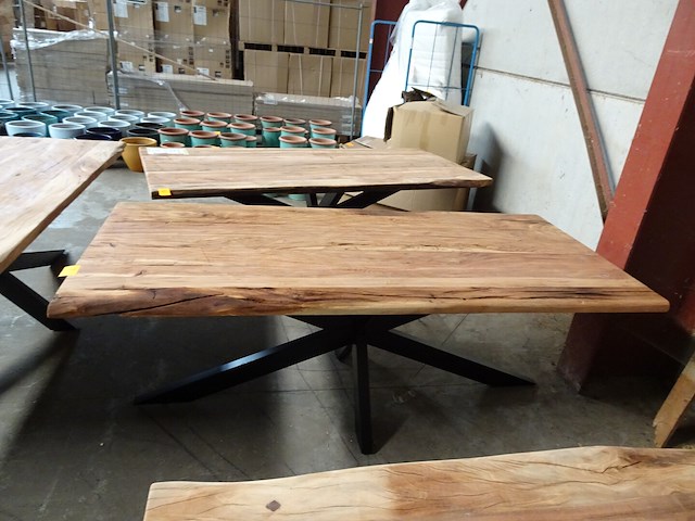 Indoor boomstamtafel - afbeelding 2 van  4