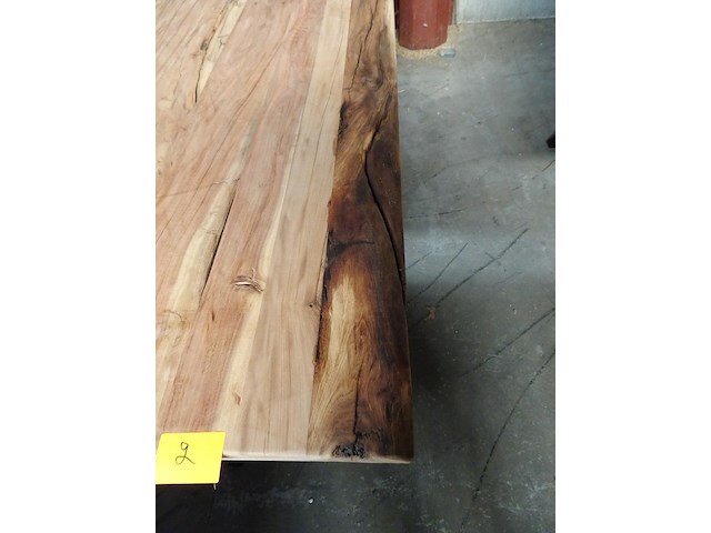 Indoor boomstamtafel - afbeelding 4 van  4