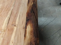 Indoor boomstamtafel - afbeelding 4 van  4