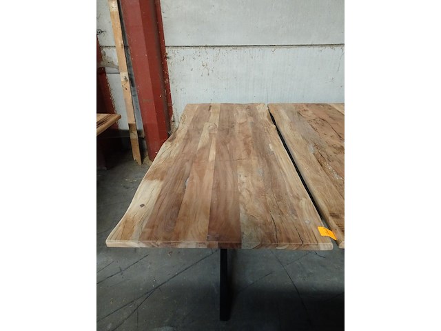 Indoor boomstamtafel - afbeelding 2 van  3