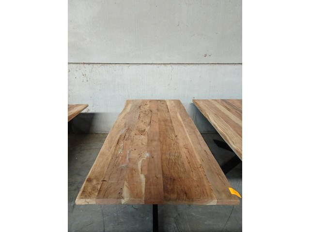 Indoor boomstamtafel - afbeelding 2 van  3