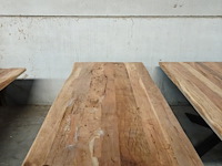 Indoor boomstamtafel - afbeelding 2 van  3