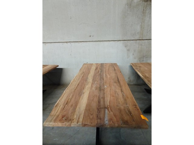 Indoor boomstamtafel - afbeelding 2 van  3