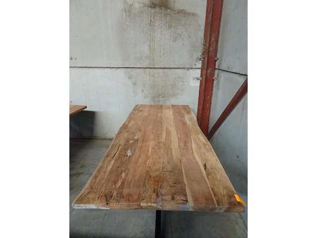 Indoor boomstamtafel - afbeelding 2 van  3