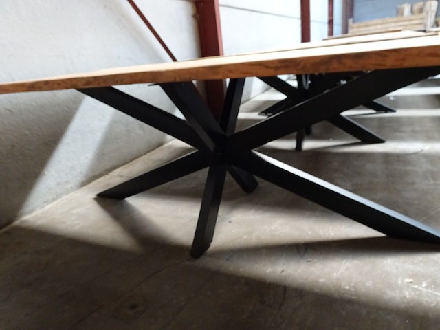 Indoor boomstamtafel - afbeelding 3 van  3