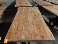 Indoor boomstamtafel - afbeelding 2 van  3
