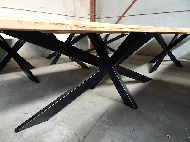 Indoor boomstamtafel - afbeelding 3 van  3