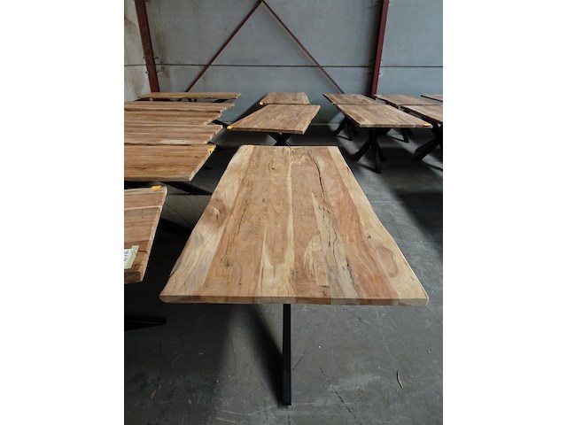 Indoor boomstamtafel - afbeelding 3 van  4