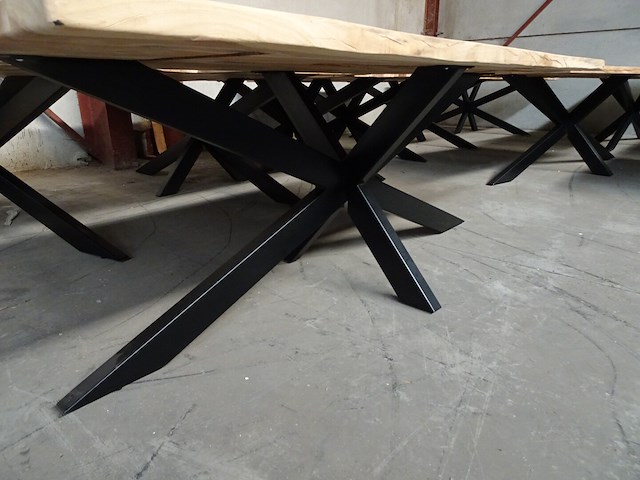 Indoor boomstamtafel - afbeelding 4 van  4