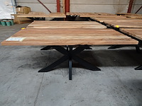 Indoor boomstamtafel