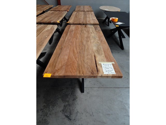 Indoor boomstamtafel - afbeelding 3 van  5