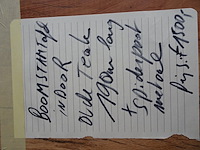 Indoor boomstamtafel - afbeelding 5 van  5