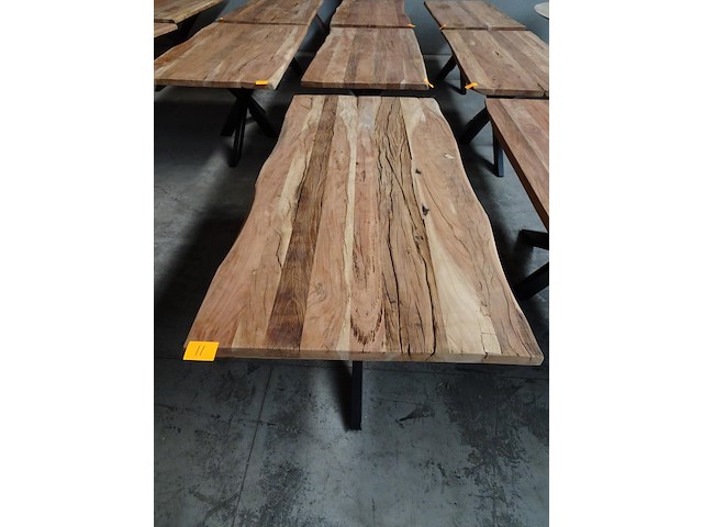 Indoor boomstamtafel - afbeelding 2 van  3