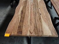 Indoor boomstamtafel - afbeelding 2 van  3