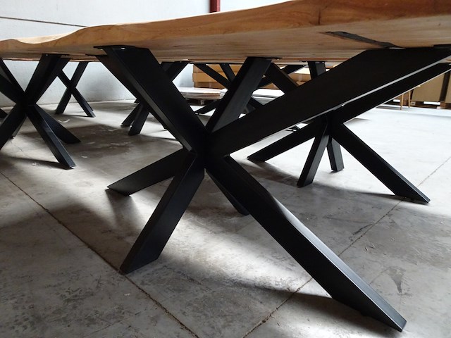 Indoor boomstamtafel - afbeelding 3 van  3