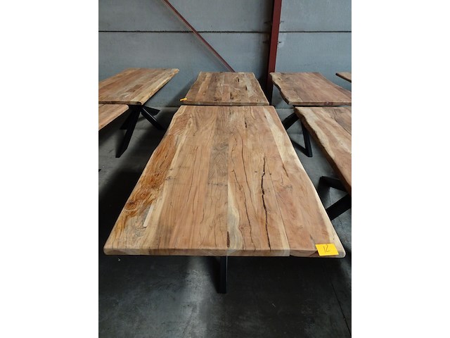 Indoor boomstamtafel - afbeelding 2 van  3