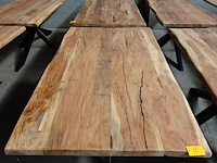 Indoor boomstamtafel - afbeelding 2 van  3