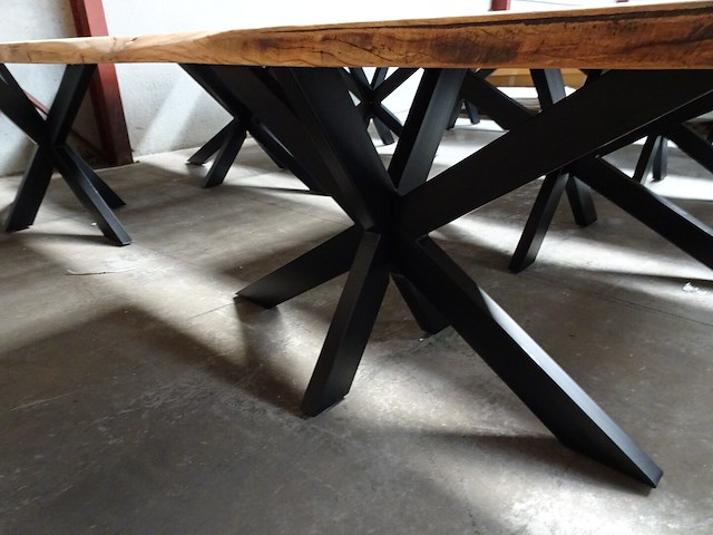 Indoor boomstamtafel - afbeelding 3 van  3