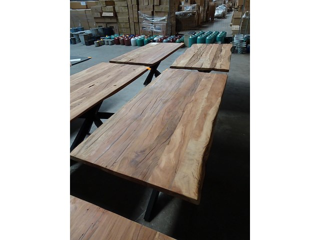Indoor boomstamtafel - afbeelding 2 van  3