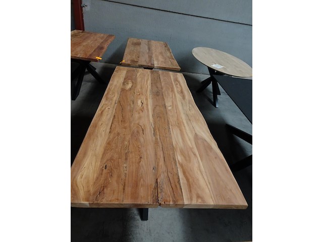 Indoor boomstamtafel - afbeelding 3 van  5