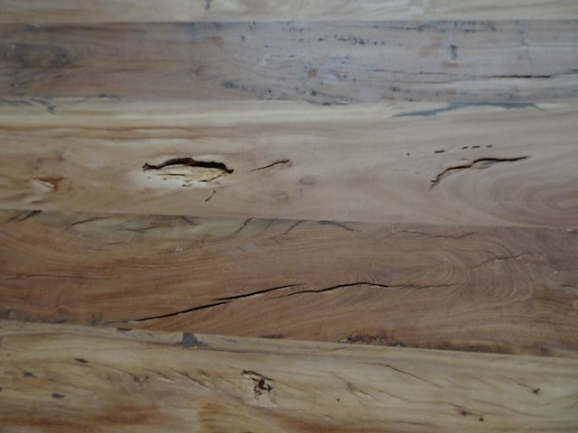 Indoor boomstamtafel - afbeelding 4 van  5