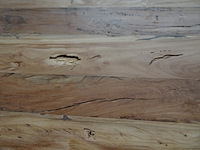 Indoor boomstamtafel - afbeelding 4 van  5