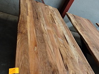Indoor boomstamtafel - afbeelding 2 van  3