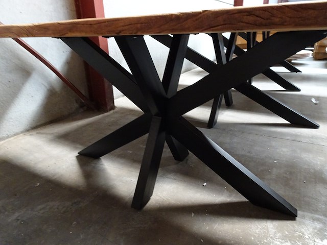 Indoor boomstamtafel - afbeelding 3 van  3