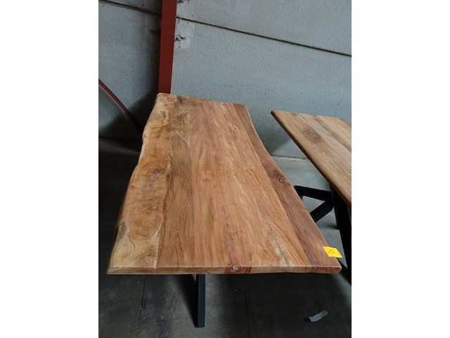 Indoor boomstamtafel - afbeelding 2 van  4