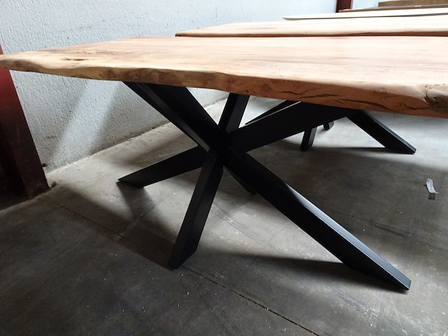 Indoor boomstamtafel - afbeelding 3 van  4