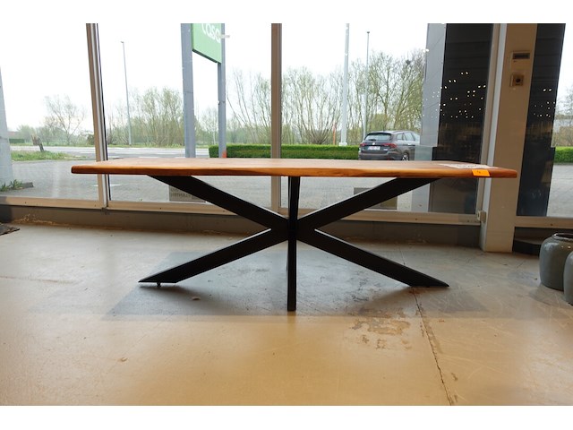 Indoor boomstamtafel - afbeelding 1 van  6