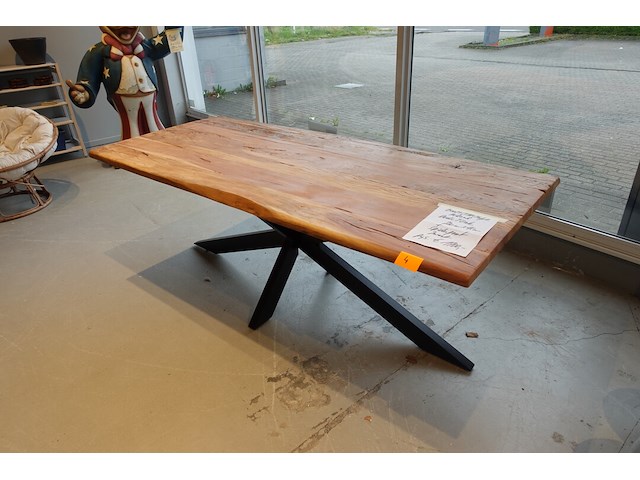 Indoor boomstamtafel - afbeelding 4 van  6