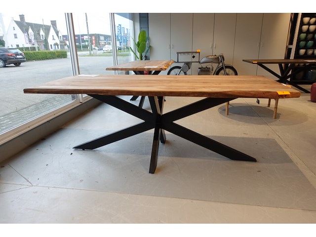 Indoor boomstamtafel - afbeelding 1 van  6