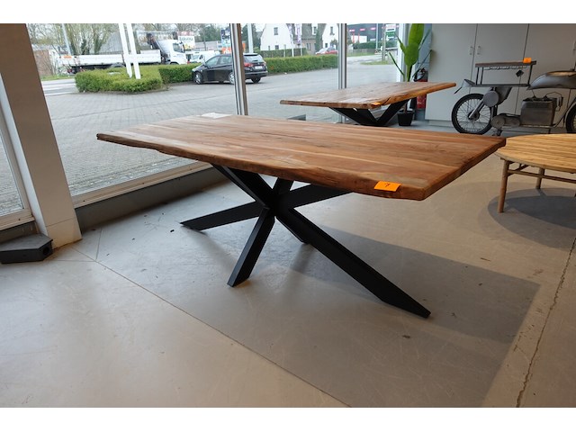 Indoor boomstamtafel - afbeelding 3 van  6