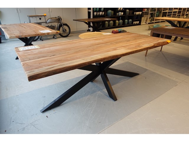 Indoor boomstamtafel - afbeelding 4 van  6