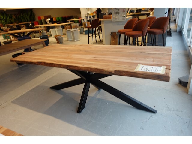 Indoor boomstamtafel - afbeelding 5 van  6